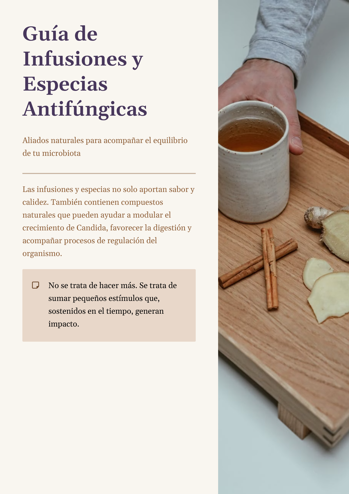 La Guía Completa de la Candidiasis en Lenguaje Simple + BONOS