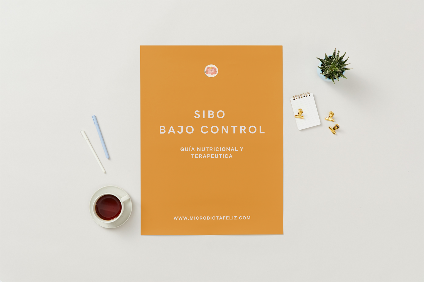 SIBO Bajo Control: Guía Nutricional y Terapéutica