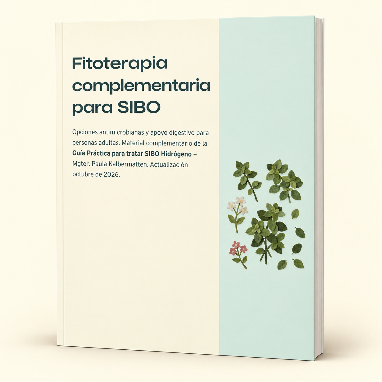 Fitoterapia complementaria para SIBO