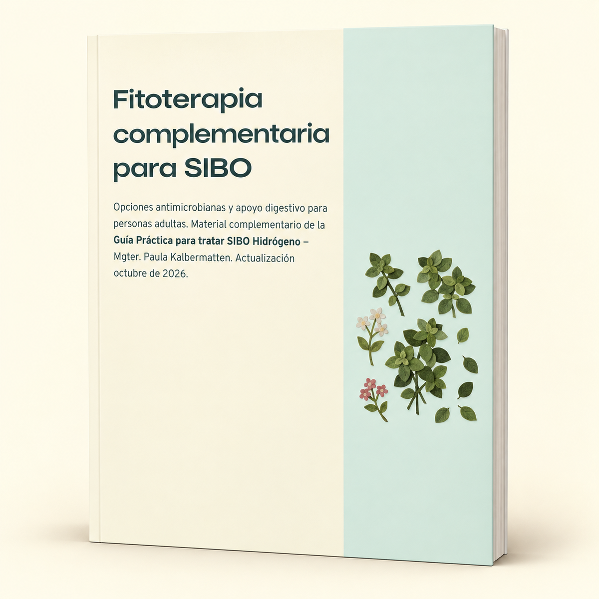 Guía práctica para tratar SIBO hidrógeno + Guía fitoterapica + Guía de mantenimiento + Recetarios